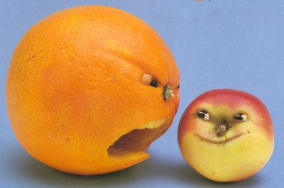 yelling-orange-with-plum.jpg